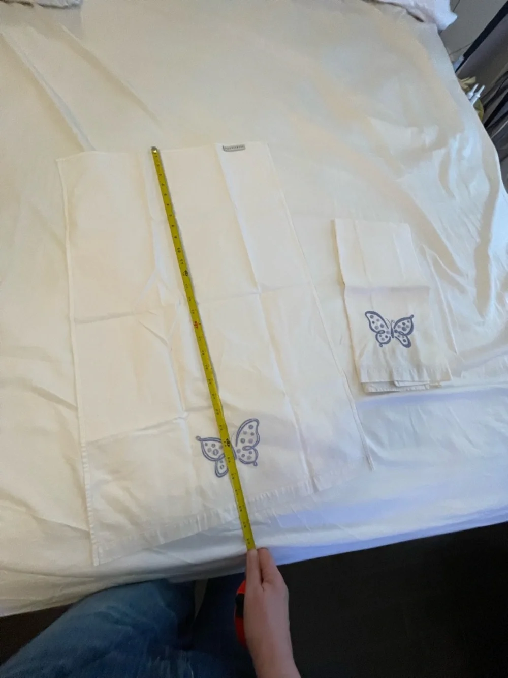 Pottery Barn Decorative Cotton Guest Hand Towel w Butterfly Embroidery Set of 2